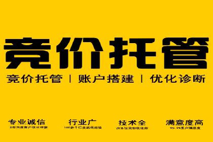 案例展示：SEM推广助力品牌知名度提升